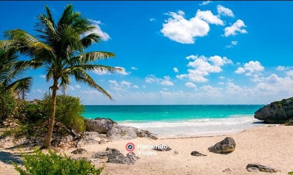 RIVIERA MAYA 2024