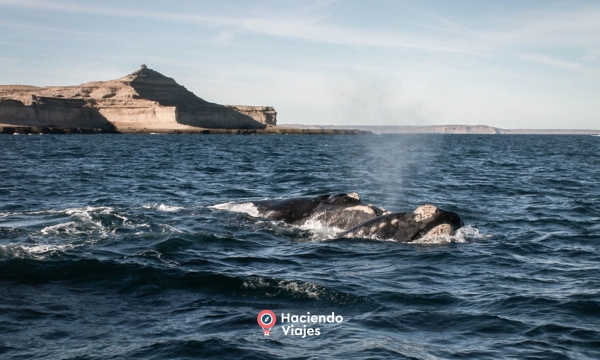 PUERTO MADRYN - 4 DIAS