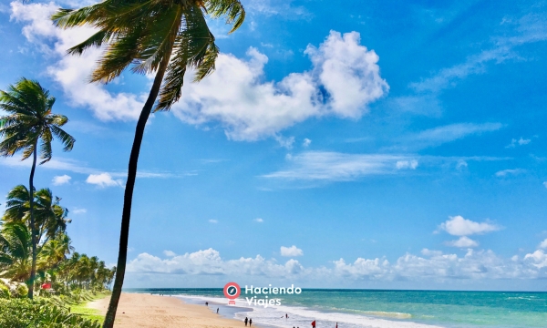 VERANO 2026 - PRAIA DO FORTE 8 DIAS