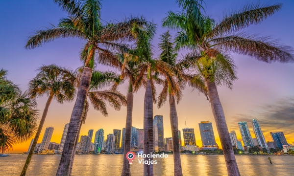 BLACK FRIDAY MIAMI & CRUCERO POR BAHAMAS - 12 DIAS 