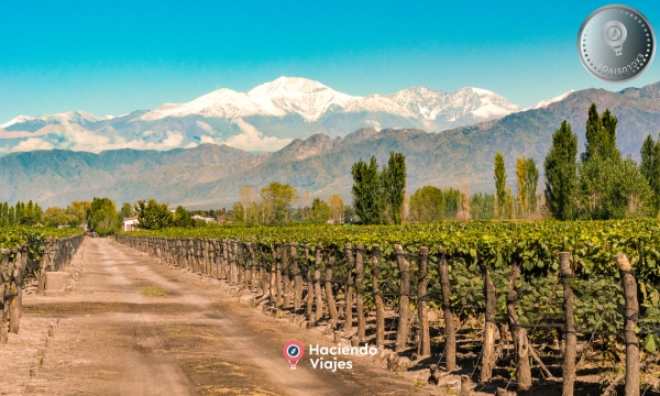 HOT SALE - MENDOZA FLY & DRIVE 4 DIAS