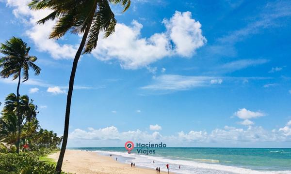 VERANO 2026 - SALVADOR 8 DIAS