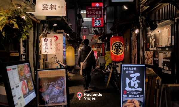 CIRCUITO: TENTACIONES DE JAPON CON OSAKA - 8 DIAS 