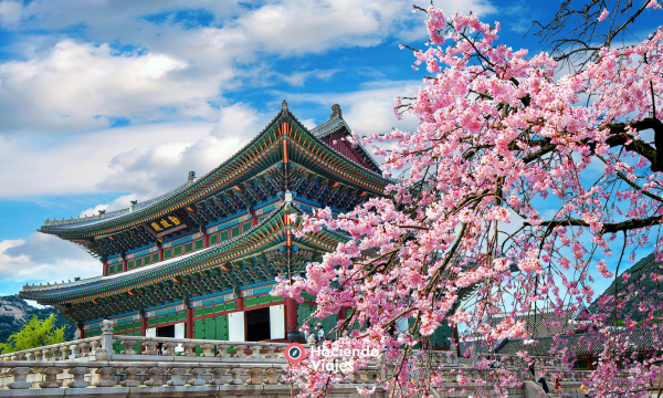 COREA & JAPON - 17 DIAS