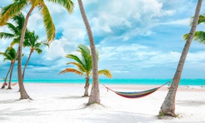 Punta Cana 2019 45% OFF