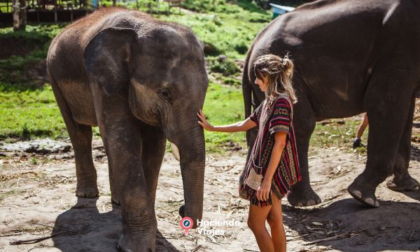 SUPER TAILANDIA - 9 DIAS